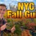 2021 NYC Fall guide: 7 amazing things to do!