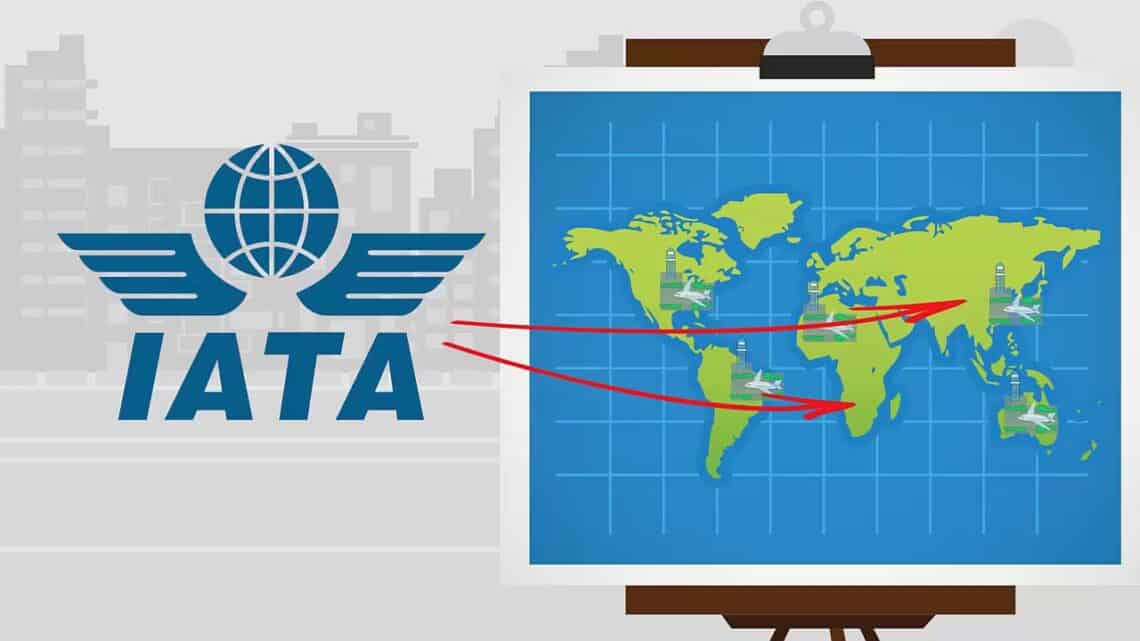 How does IATA help the Travel Industry?