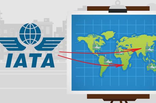 How Does Iata Help The Travel Industry?