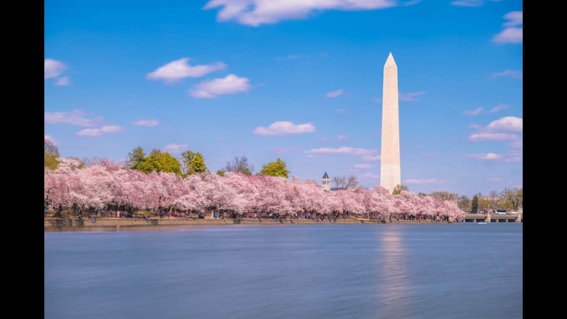 National cherry blossom festival – dc & tokyo