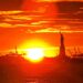 NYC Exploring Financial District Manhattan & Staten Island Ferry Jan 2022