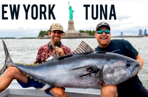 Unbelievable Tuna Fishing In New York City