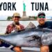 Unbelievable Tuna Fishing In New York City