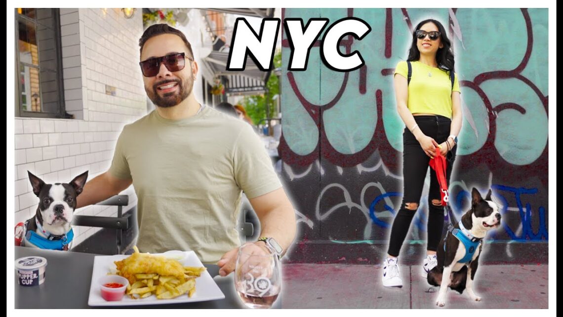 What to do in new york city summer 2022 – pet friendly restaurant’s inclusive voices