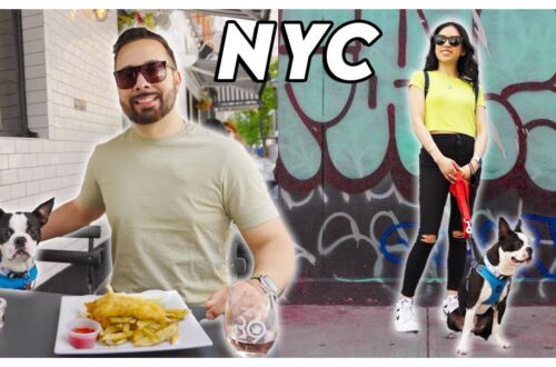 What To Do In New York City Summer 2022 – Pet Friendly Restaurant’s Inclusive Voices