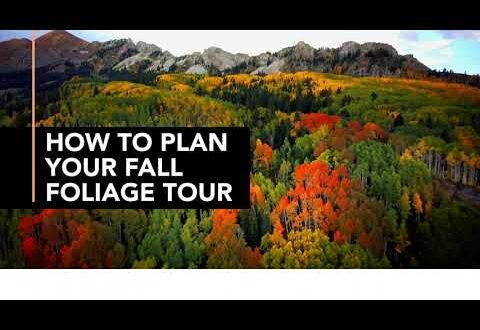 How To Plan Your Fall Foliage Tour