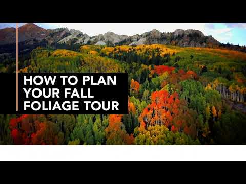 How to plan your fall foliage Tour