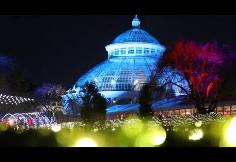 NYBG Train show & NYBG GLOW