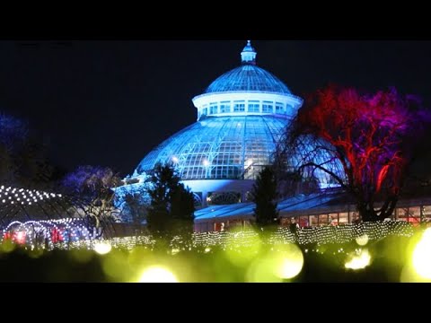 NYBG Train show & NYBG GLOW