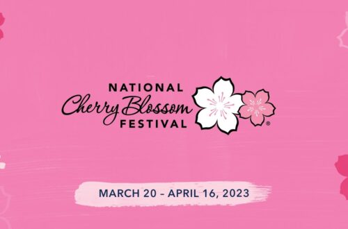Washington DC 2023 National Cherry Blossom Festival
