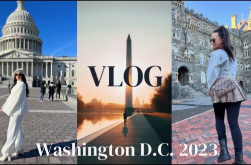 2023 Washington Dc Vlog – @thejanellemarie
