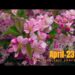 Summer moment by New York 2023