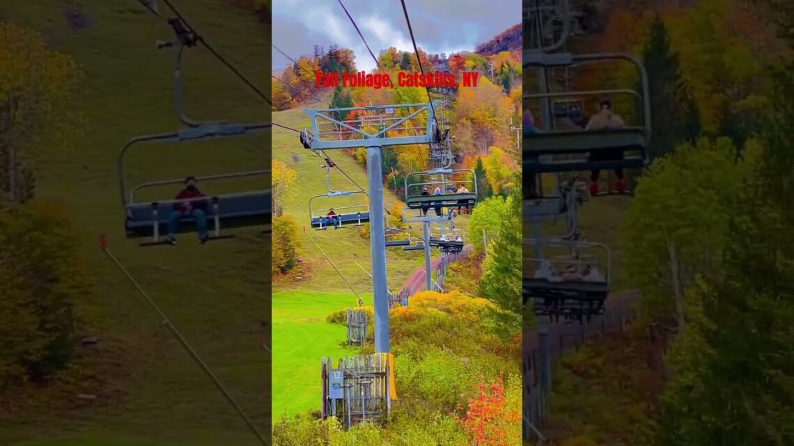 Fall foliage, Catskills, NY #fallcolors #newyork #catskills