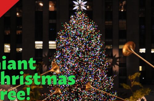 The Rockefeller Center Christmas Tree | A Brief History #shorts