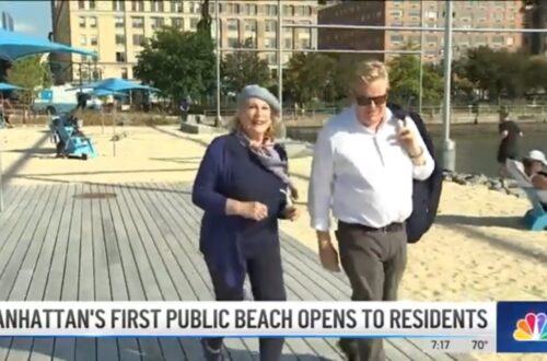 Manhattan Opens Its First Public Beach, But There Will Be No Swimming | Nbc New York