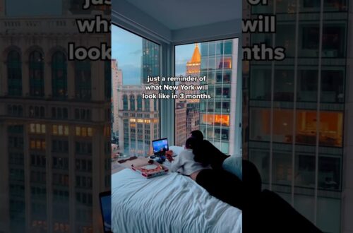 New York During Christmas