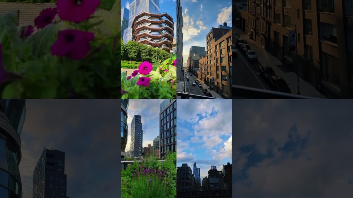 New York Beauty In Color