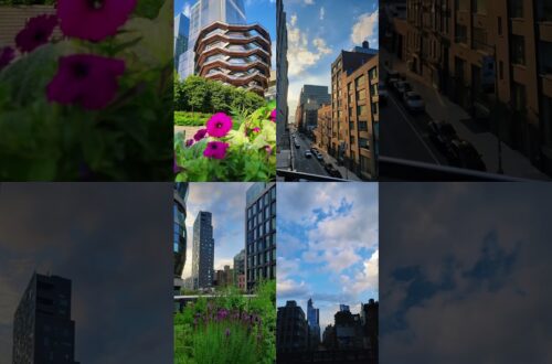 New York Beauty In Color