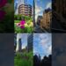 New York Beauty In Color