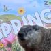Nyc Groundhog Day 2024: Staten Island Chuck Predicts Early Spring!