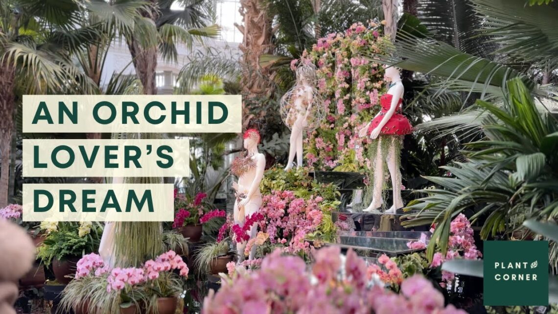 The Orchid Night At Nybg : Nyc Plant Tour
