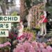 The Orchid Night At Nybg : Nyc Plant Tour