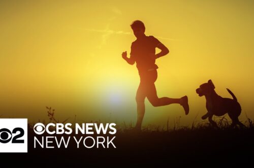 “dog Days Of Summer” Is Celebrating New York City’s Many Dogs