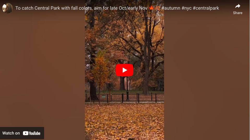 Central Park Fall