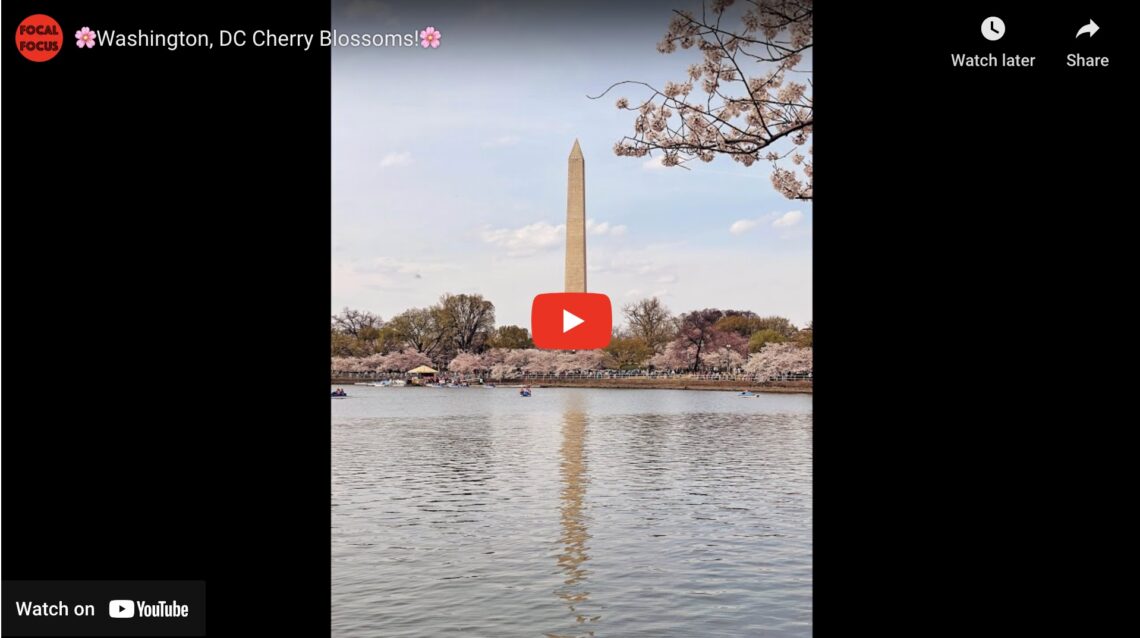 Image 12 28 24 At 9.30 Am