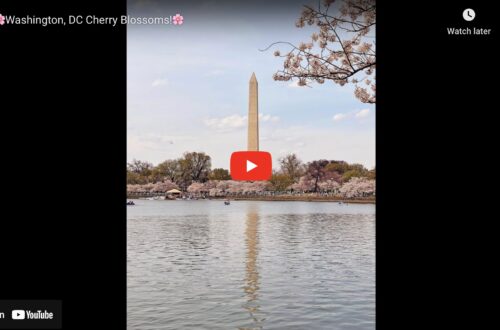 Image 12 28 24 At 9.30 Am