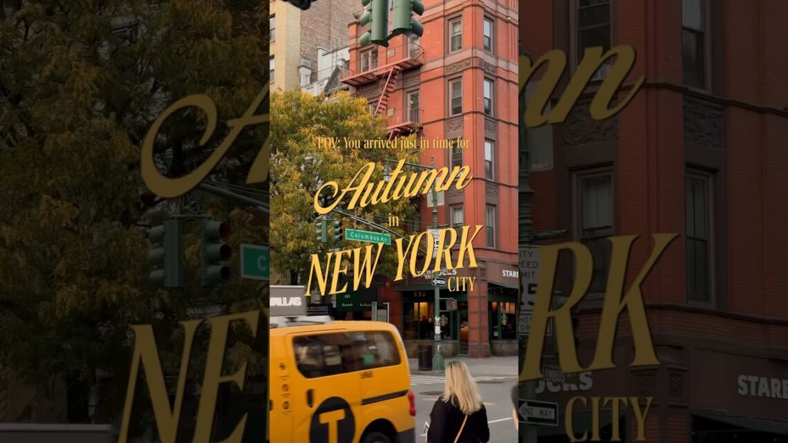 Is this really new york city?? 👀