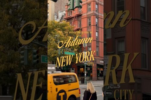 Is this really new york city?? 👀